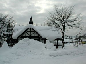 Nieve